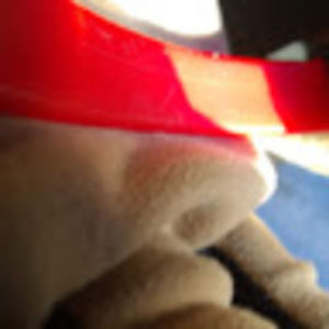 Meet your Posher, Donnie